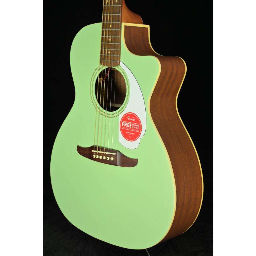 Fender   Newporter Player White Pickguard Surf Green Walnut(S N IWA2311908)(名古屋栄店)