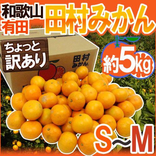 みかん 和歌山有田産 ”田村みかん” ちょっと訳あり S〜M 約5kg 産地箱 送料無料