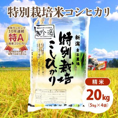 ふるさと納税 上越市 令和5年産|新潟上越三和産|特別栽培米コシヒカリ(従来種)20kg(5kg×4)精米