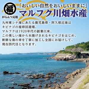 akune-2-211 鹿児島県阿久根市産生干し「かたくちいわし」(計5袋・1袋40g)国産 魚介 干物 イワシ 鰯 がらんつ干物 2-211