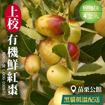 【上校】苗栗公館有機鮮紅棗 (1台斤/盒)x4 產地黑貓低溫直出