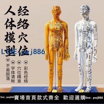 【便宜有好貨】中醫針灸穴位人體模型十二經絡圖全身銅人模可扎針練習小皮人大號