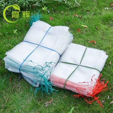 防蟲袋 尼龍網袋大號尼龍袋浸種袋紗網袋袋子防蟲袋火龍果套袋育種袋蛇袋【MJ13104】