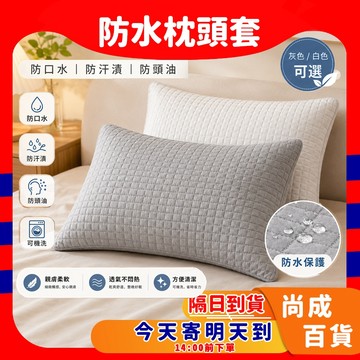 🚀蝦店隔日到貨🔥防水枕頭套 防水枕套 枕頭保潔墊 枕套 枕頭套 枕頭枕芯保護套 可水洗枕頭套 家用成人枕套 防止枕芯發黃