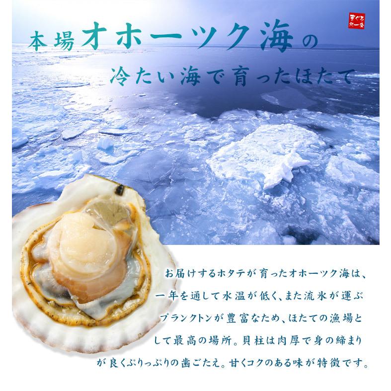 今だけ送料無料　ホタテ ほたて 北海道産生ホタテ300g（10〜18玉）刺身 海鮮丼《ref-ht1》gw2 yd5[[生ほたて300g]