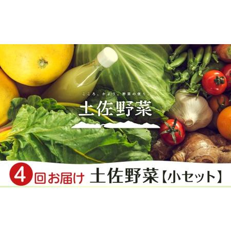 ふるさと納税 『定期便 全4回』旬の野菜の詰め合わせ　小セット 高知県南国市