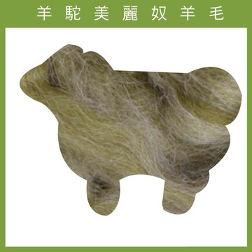 紐西蘭ASHFORD-羊駝美麗奴羊毛AP3地衣｜50g｜DIY手作/羊毛氈材料/文創