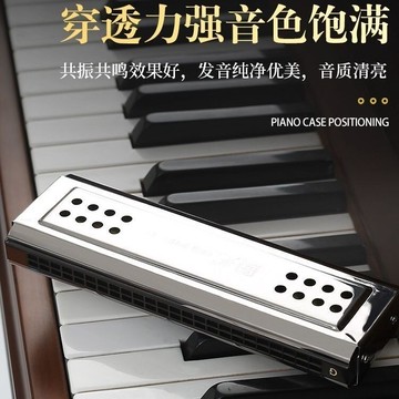 國光雙面雙調口琴C/G調24孔口琴專業演奏口琴【北歐家居生活】