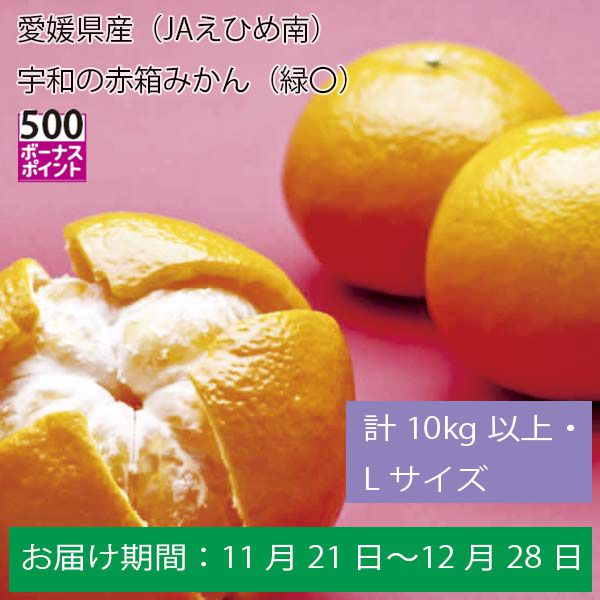 愛媛県産（JAえひめ南）宇和の赤箱みかん（緑〇）計１０Kg以上・Ｌサイズ