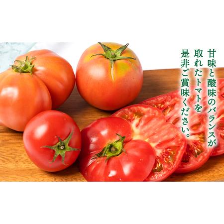 ふるさと納税    八代市産 規格外トマト 4.5kg 熊本県 トマト 野菜 熊本県八代市