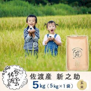 ふるさと納税 佐渡島産 新之助 玄米5kg×1袋 新潟県佐渡市