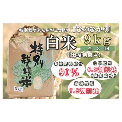 ふるさと納税 長崎県 諫早市 令和5年産「定期便」特別栽培米・九州のこだわり米ひのひかり 白米9kg（全3回）