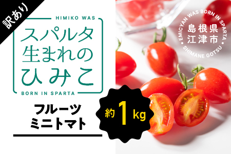 スパルタ生まれのひみこ（フルーツミニトマト）約1kg