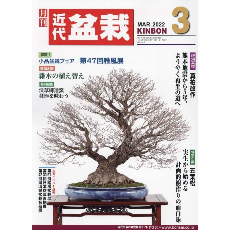 月刊近代盆栽 2022年 月号 雑誌