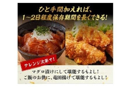 漁協直送！キハダマグロブロック（生）1kg