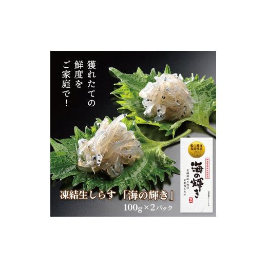 ふるさと納税 茨城県 大洗町 凍結生しらす「海の輝き」 100g 2パック 小分け シラス 冷凍 生しらす しらす