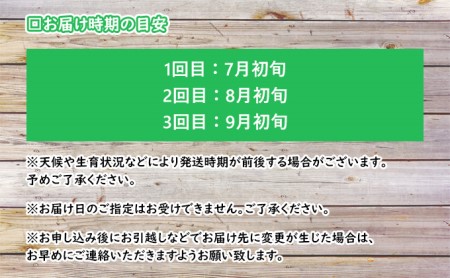 メロン 好き必見！ ふらの 赤肉 メロン3種 贅沢 定期便 北海道 富良野市 食べ比べ  (松本農園)