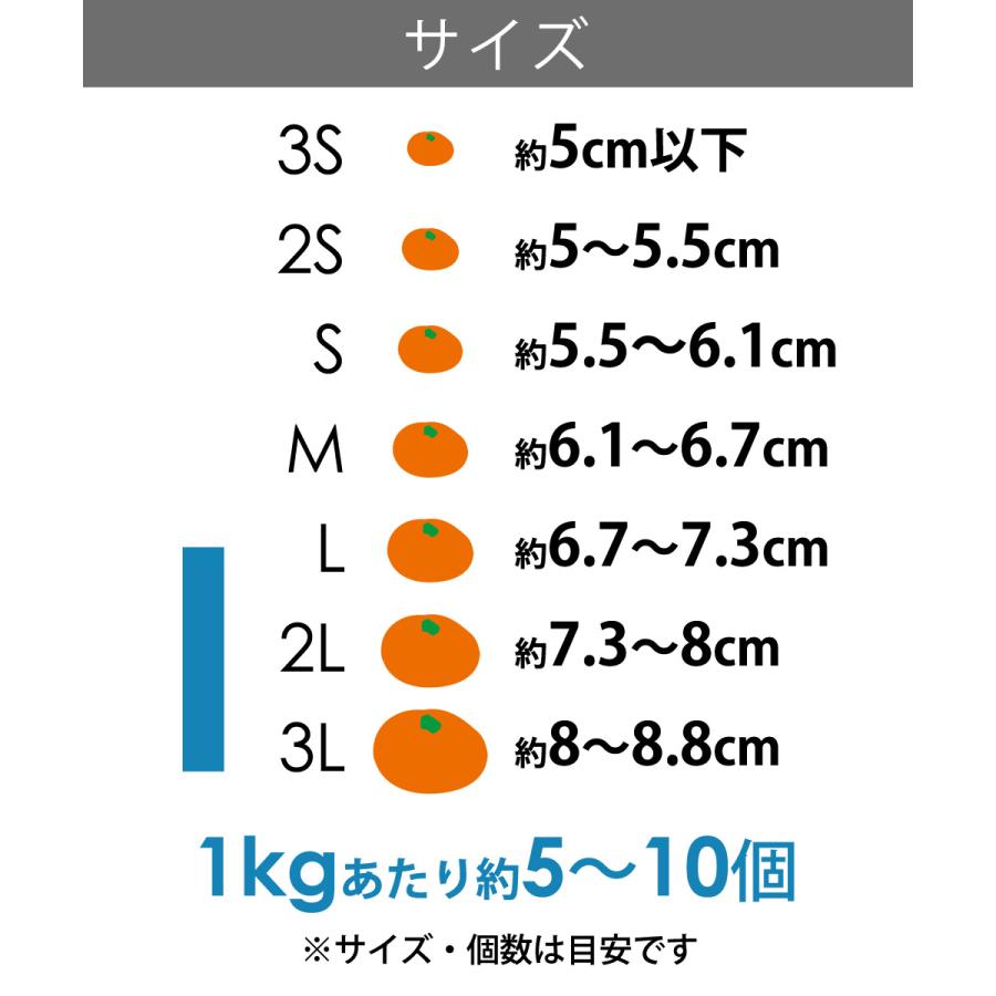 大玉 有田みかん わけあり 5kg ／ 11月中旬以降発送 ／ Lサイズ 2Lサイズ以上 送料無料 訳あり 温州みかん KS 有田 みかん ミカン 家庭用