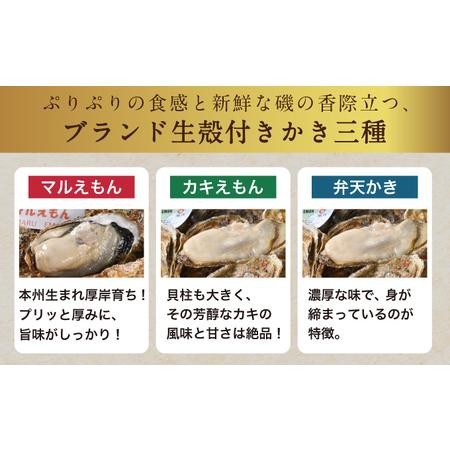 ふるさと納税  北海道厚岸産 殻かき三種 食べ比べ お試し セット　牡蠣 北海道厚岸町