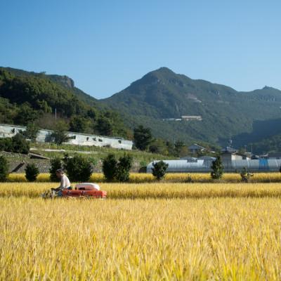 ふるさと納税 土庄町 肥土山そだち米(香川県産コシヒカリ)10kg