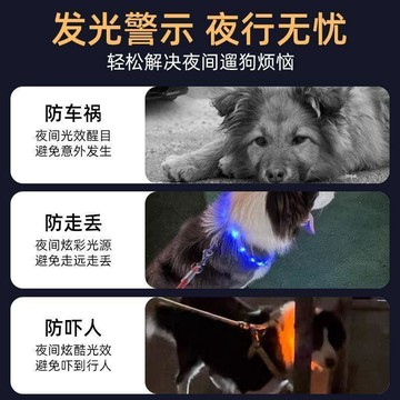 好物直購 台灣熱銷 LED發光寵物項圈 USB充電式寵物發光項圈 炫彩夜光遛狗項圈 LED發亮項圈 寵物項圈 狗狗項圈