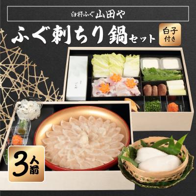 ふるさと納税 大分市 臼杵ふぐ山田や　ふぐ刺・ちり鍋セット　3人前　白子付き_E05020