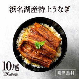 うなぎ 蒲焼き ギフト 浜名湖 10尾セット 国産ウナギ  母の日 父の日 お中元 贈答にも （ウナギ 贈答用）【送料無