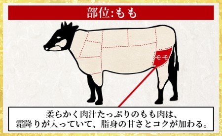 土佐和牛ももスライス500g タレなし Xhk-0079