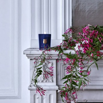 【Trudon】旅遊回憶 藍精粹系列70g 香氛蠟燭|生日禮物 官方推薦 送禮首選 法國皇室御用 附品牌紙袋