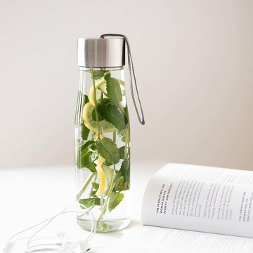 丹麥eva solo 自製水果茶兩用隨手瓶 750ml