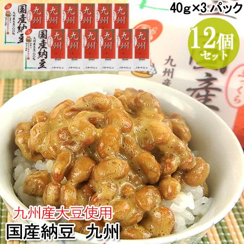 国産納豆 九州(40ｇ×3) 12個セット 九州産大豆 本醸造醤油使用 からし付き 二豊フーズ 送料込