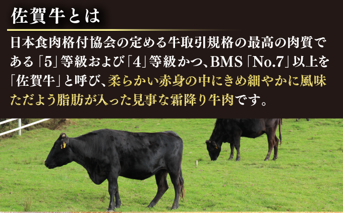 200g×8枚 佐賀牛｢ロースステーキ｣(年6回) R-18