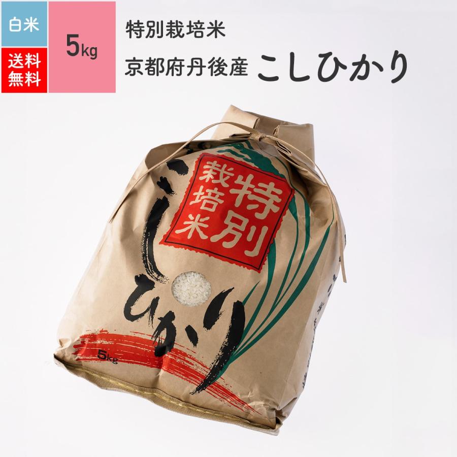 米 お米 5kg コシヒカリ 京都府丹後産 特別栽培米 白米 5年産