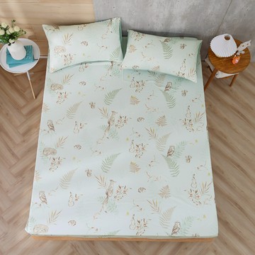 HongYew 鴻宇 美國棉授權品牌 300織 狐狸艾莉森 台灣製  1件  床包枕套組  綠  單人