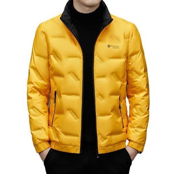 【巴黎精品】真 羽絨90%白鴨絨 羽絨外套鴨絨夾克-男士保暖立領時尚羽絨男外套4色a1is37