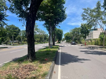 義大醫院都內農地-2｜高雄市燕巢區鳳雄段