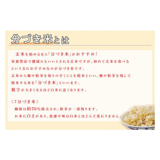 ふるさと納税 茨城県 行方市 CZ-9　真空包装　こしひかり８ｋｇ（２ｋｇ×４袋）