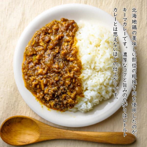 カレー 北海道 北海地鶏キーマカレー 180g×３ 3食セット アウトドア ご当地 限定 ギフト お取り寄せ レトルトカレー キャンプ BBQ