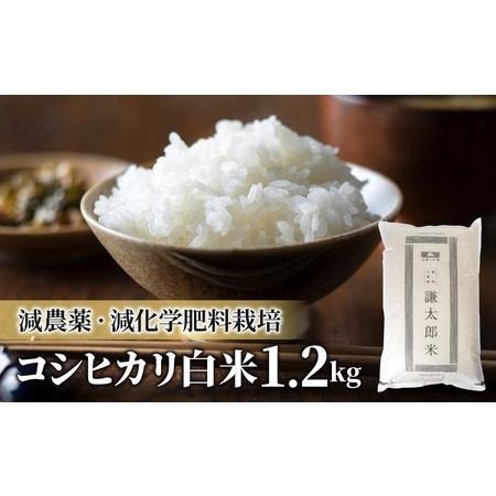 ふるさと納税 八重原産特別栽培米（減農薬・減化学肥料栽培）コシヒカリ白米1.2kg 長野県東御市