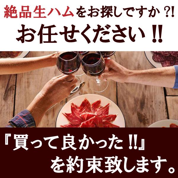 ポイント消化 送料無料 おつまみ 『スペイン産長期熟成生ハム ハモンセラーノ 50g』お試し