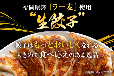 訳あり！ちょっと大きめ国産生餃子　50個 2ｋｇ（50個×2ｐ）＆辛子明太子小切り300ｇ（100ｇ×3ｐ）セット