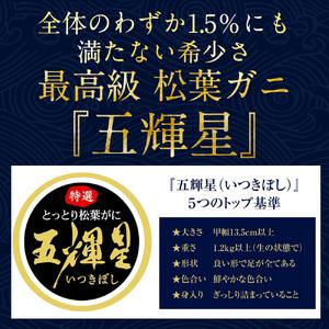 ふるさと納税 鳥取ブランド　松葉ガニ『五輝星』 ※2023年11月頃〜2024年3月頃に順次発送予定 ※着日指定不可 鳥取県北栄町