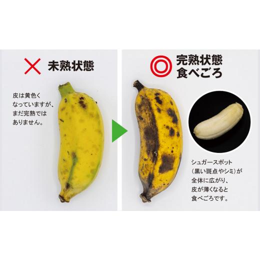 ふるさと納税 沖縄県 南風原町 甘さ濃厚もっちりアップルバナナ3kg