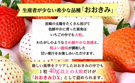 宮崎県産 イチゴ おおきみDX 1パック(9粒) いちご 苺 果物 期間・数量限定