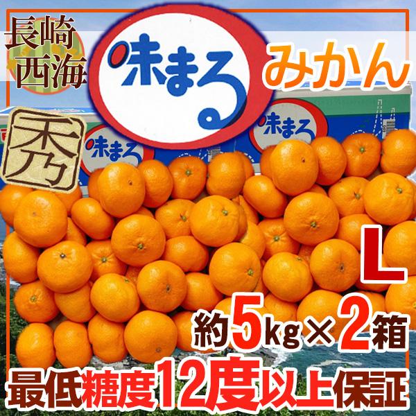 長崎県産　味まるみかん　L　約5kg×2箱　秀品