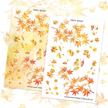 秋日情調。Falling。PET