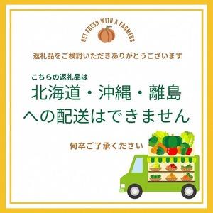 ふるさと納税 亀岡産 キヌヒカリ 2kg ＆ 野菜詰め合わせ　有機野菜・京野菜の『京都やおよし』オーガニック 有機JAS 栽培期間農薬不使用 減農薬 .. 京都府亀岡市