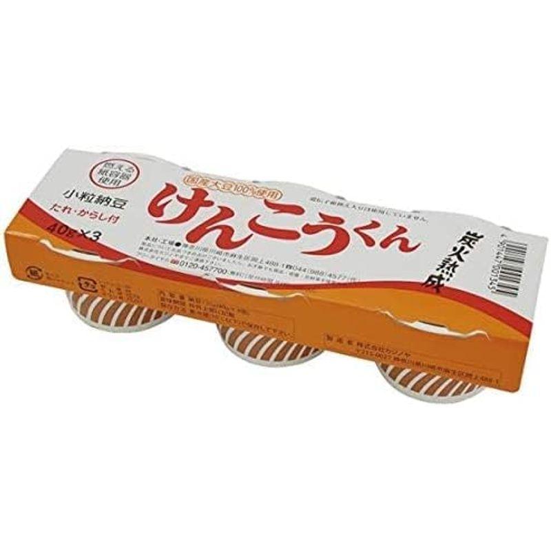 カジノヤ 小粒納豆 けんこうくん ４０ｇ×３ 20個