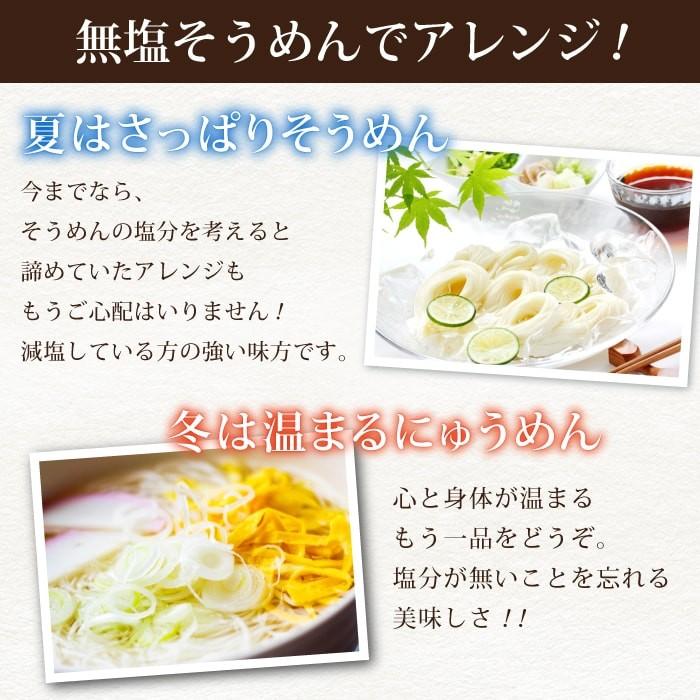 無塩 そうめん 10袋分  国産 無添加 食塩不使用 保存食 減塩 中の方にも お歳暮 お歳暮ギフト お歳暮プレゼント 保存食 非常食