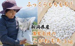 新潟県産 もち米『こがねもち』3kg 令和5年産新米 ふっくらモチモチ！ 芳醇な甘い香り 磯貝農場